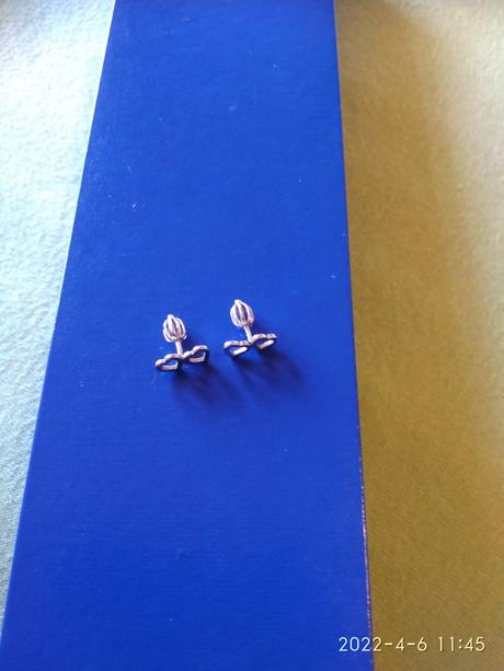 Strieborné náušnice s poštovným, 