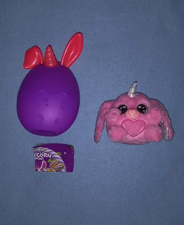 Rainbocorns bunnycorn,