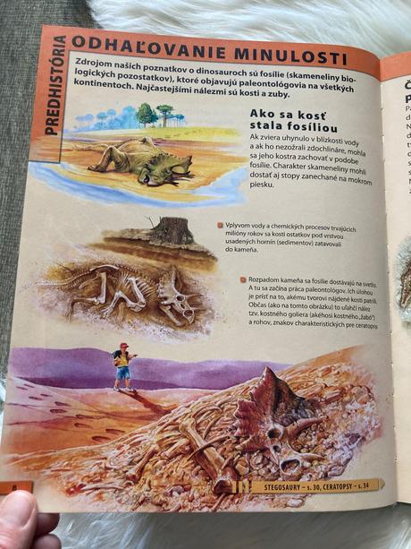 Dinosaury encyklopédia pre deti vo veku 7-10 rokov,