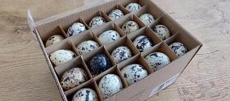 Dekoračné vajíčka - prepeličie - 35 mm, 