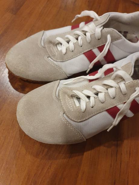 Halovky veľ. 37, 37