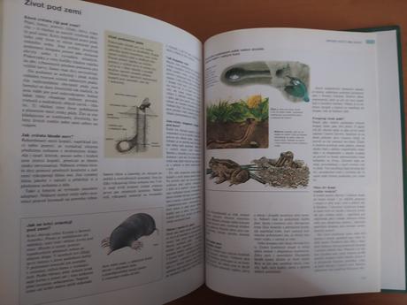 Abc prírody - svet v otázkach a odpovediach (1997), 
