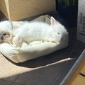 detuchy sa vyhrievaju na slniecku