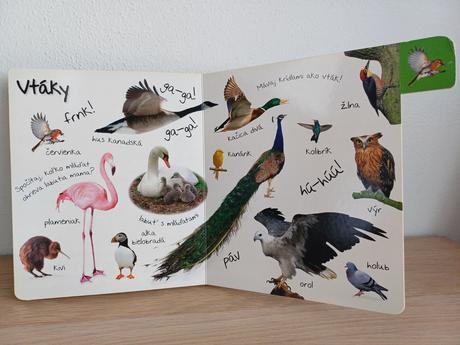 Obrázková kniha zvieratá,