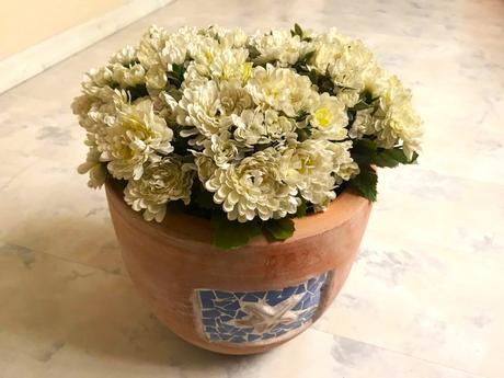 Veľká kytica chryzantém,