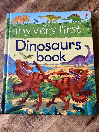 My very first dinosaurs book, usborne,