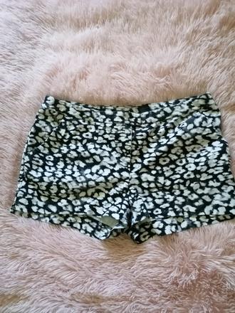 Kratase ciernobiele, 46