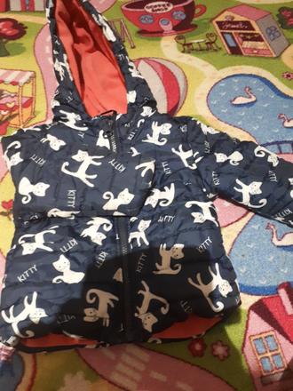 Zimná vetrovka, lupilu,86