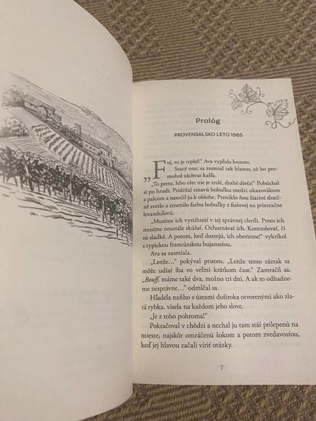 Malé vinárstvo v provensalsku román o podmanivých, 