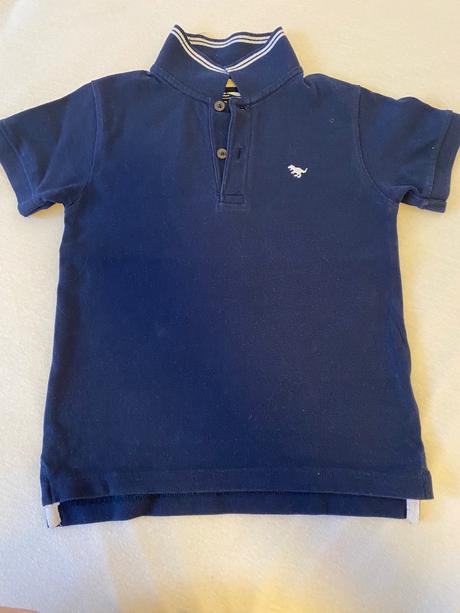 Modra polokosielka, next,104