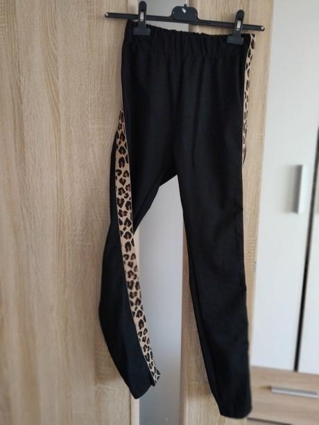 Leginy s leo pasom, amisu,s