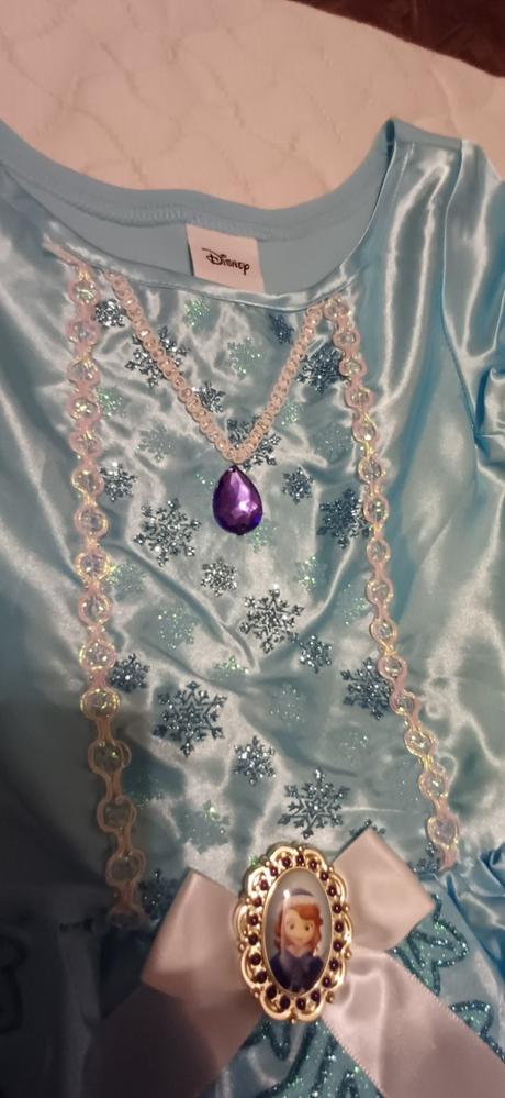 Karnevalový kostým,