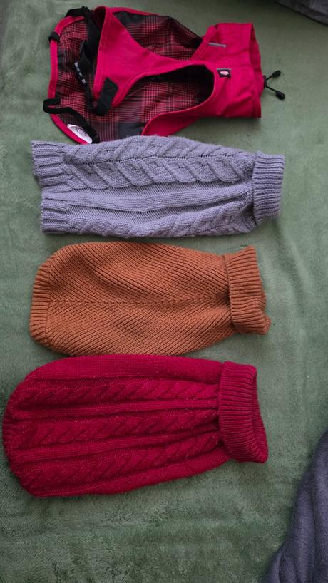 Oblecenie pre psika mendieho vzrastu, 