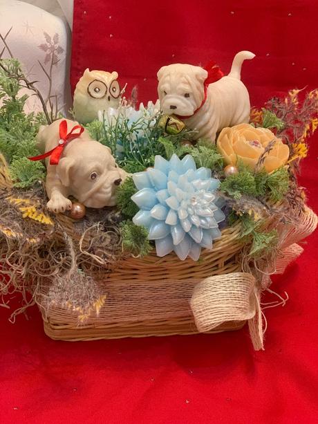 Detska mydlova kytica, 