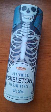 Puzzle skeleton, 