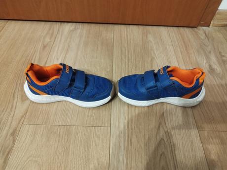 Halovky v. 29 zn. kensis, 29