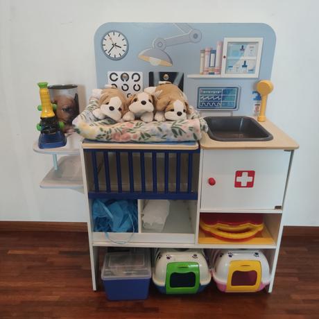 Veterinárna klinika, 