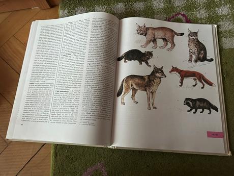 Veľká kniha živočíchov,