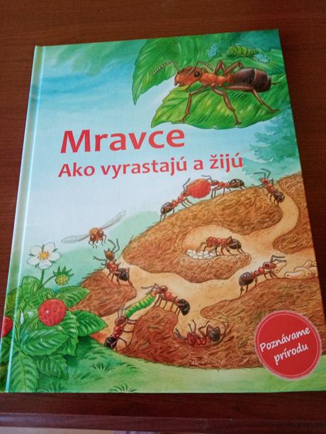 Mravce, 