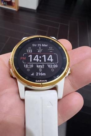 Garmin fenix 5s plus rose gold, garmin