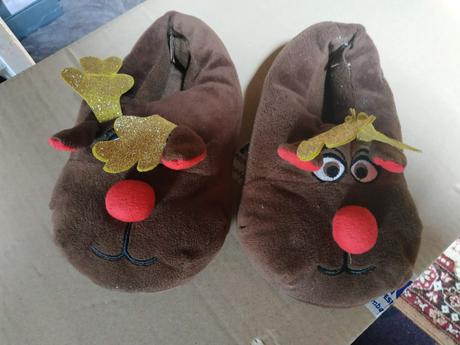 Papučky s blikajúcim noštekom, 32