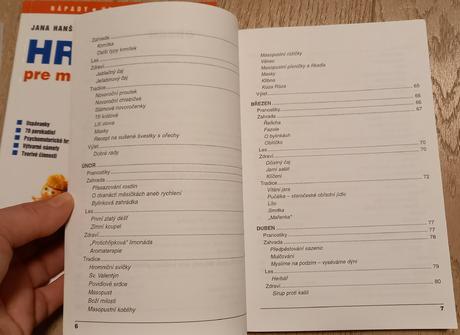 Kniha hana doležalová - nápady pro maminky..., 