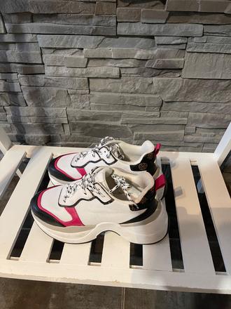 Guess v.37, guess,37