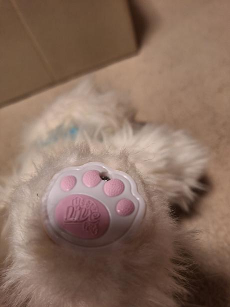 Pradúca,mňaukajúca,papajúca mačka, 