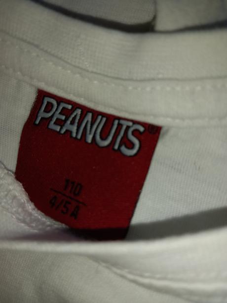 Tričká pre dvojičky ( trojičky), 110