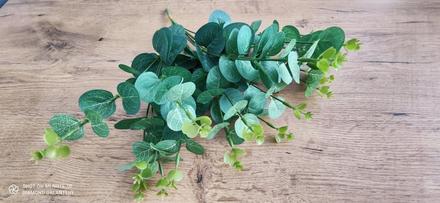 Dekoračný eukalyptus - 32 cm, 