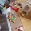 zeby nam chcela tymi vianocnymi hrackami