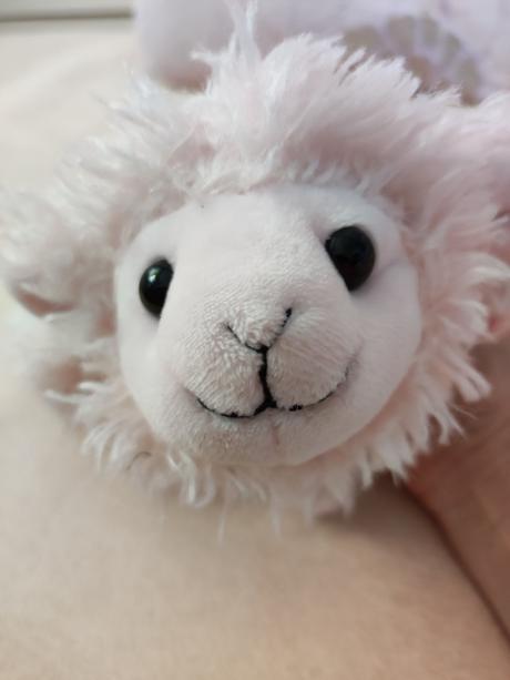 Plyšová ovečka, 