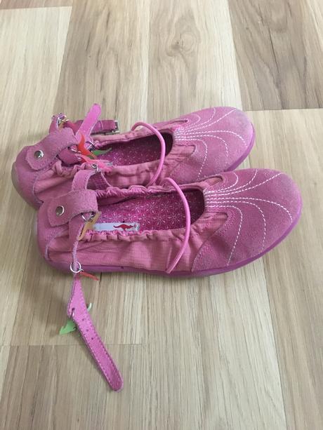 Topanocky kangaros, kangaroos,31