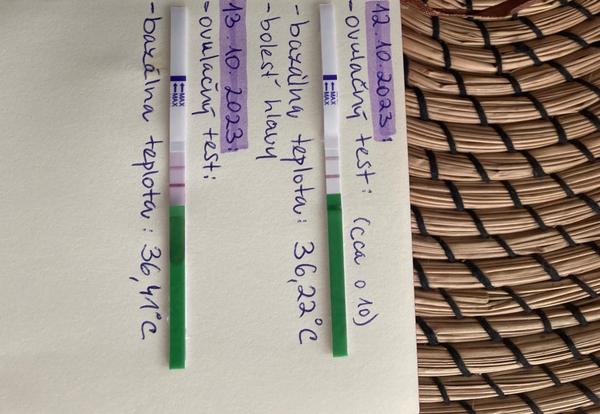 Ovulačné testy a bazálna teplota