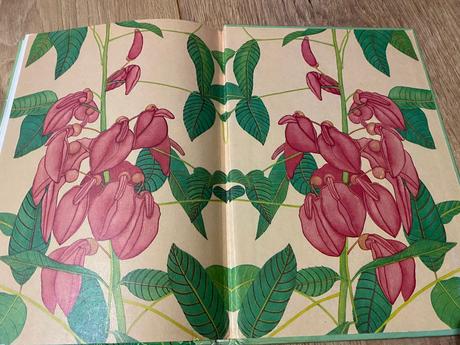 Retro stará rozprávka svrčkove dobrodružstvá,