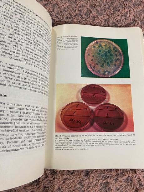 Rezidencia na antibiotiká v teórii a klinickej pra,