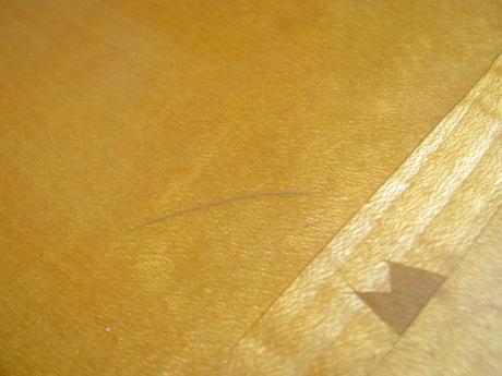 Vintage drevený obraz brezový háj,