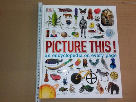 Dk picture this encyclopedia, 