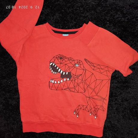 Mikina dino, dopodopo,134