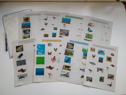 Montessori aktivity, 