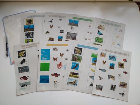 Montessori aktivity, 