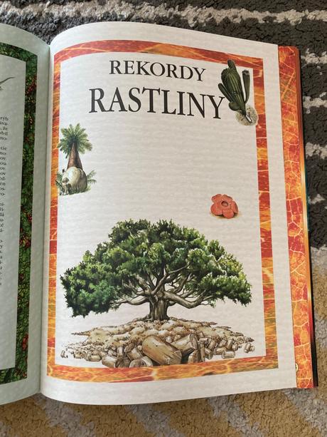 Svetové rekordy (2005), 