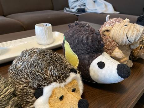 Plyšoví ježkovia, 