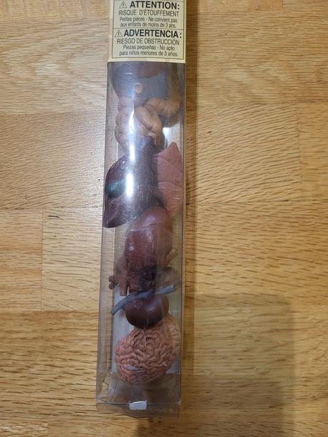 Tuba ludske organy montessori pomocka,