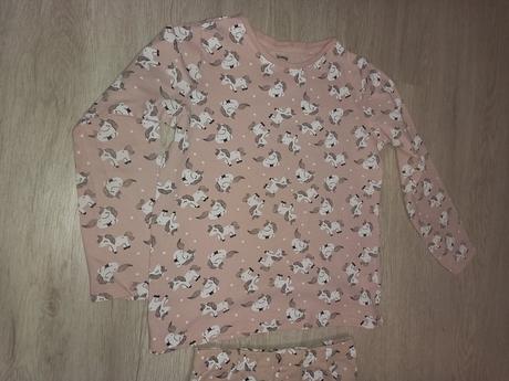 Koníková súprava, 134