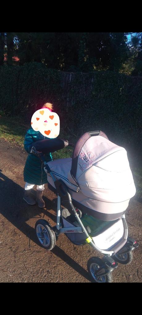 Camarelo q12, camarelo,camarelo q12