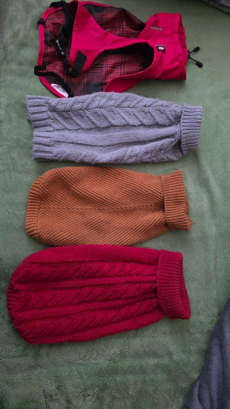 Oblecenie pre psika mendieho vzrastu, 