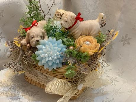 Detska mydlova kytica, 