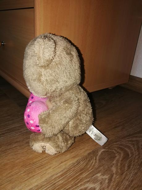 Plyšový medvedík, 