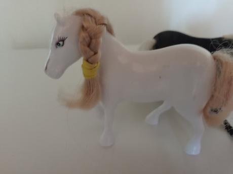 Kôň čierny darujem,